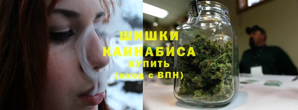 соль ск Бикин