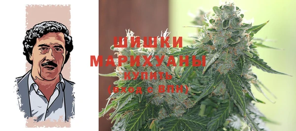 бошки Новодвинск