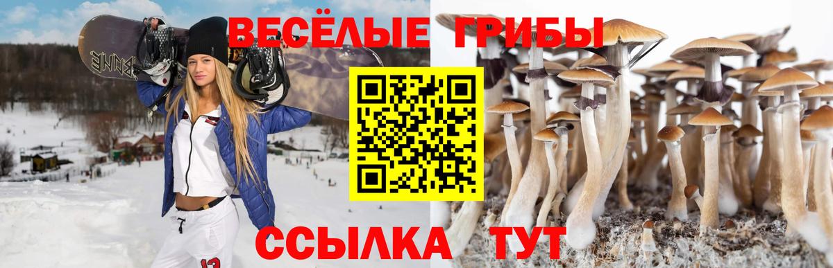 Псилоцибиновые грибы прущие грибы Майский