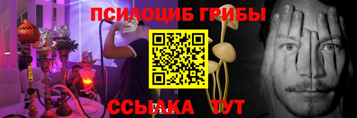 Псилоцибиновые грибы Magic Shrooms  Псилоцибиновые грибы прущие грибы  Вход с VPN  купить наркотик  Майский 